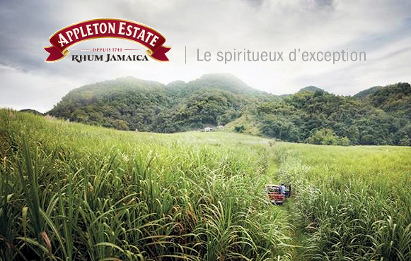 Rhums Appleton : Le rhum de Jamaïque depuis 1749