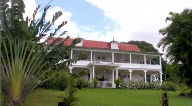 Elaboration du rhum agricole