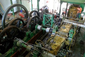 La-Favorite-broyage-canne