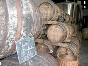 double-ageing-plantation