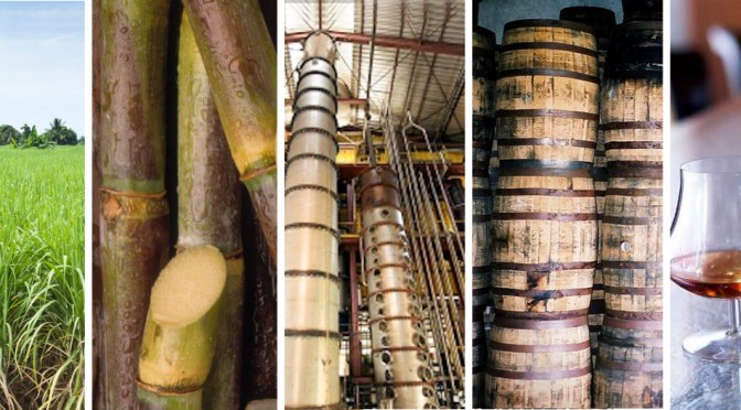 L&rsquo;avenir du rhum passera-t-il par une classification des rhums ?